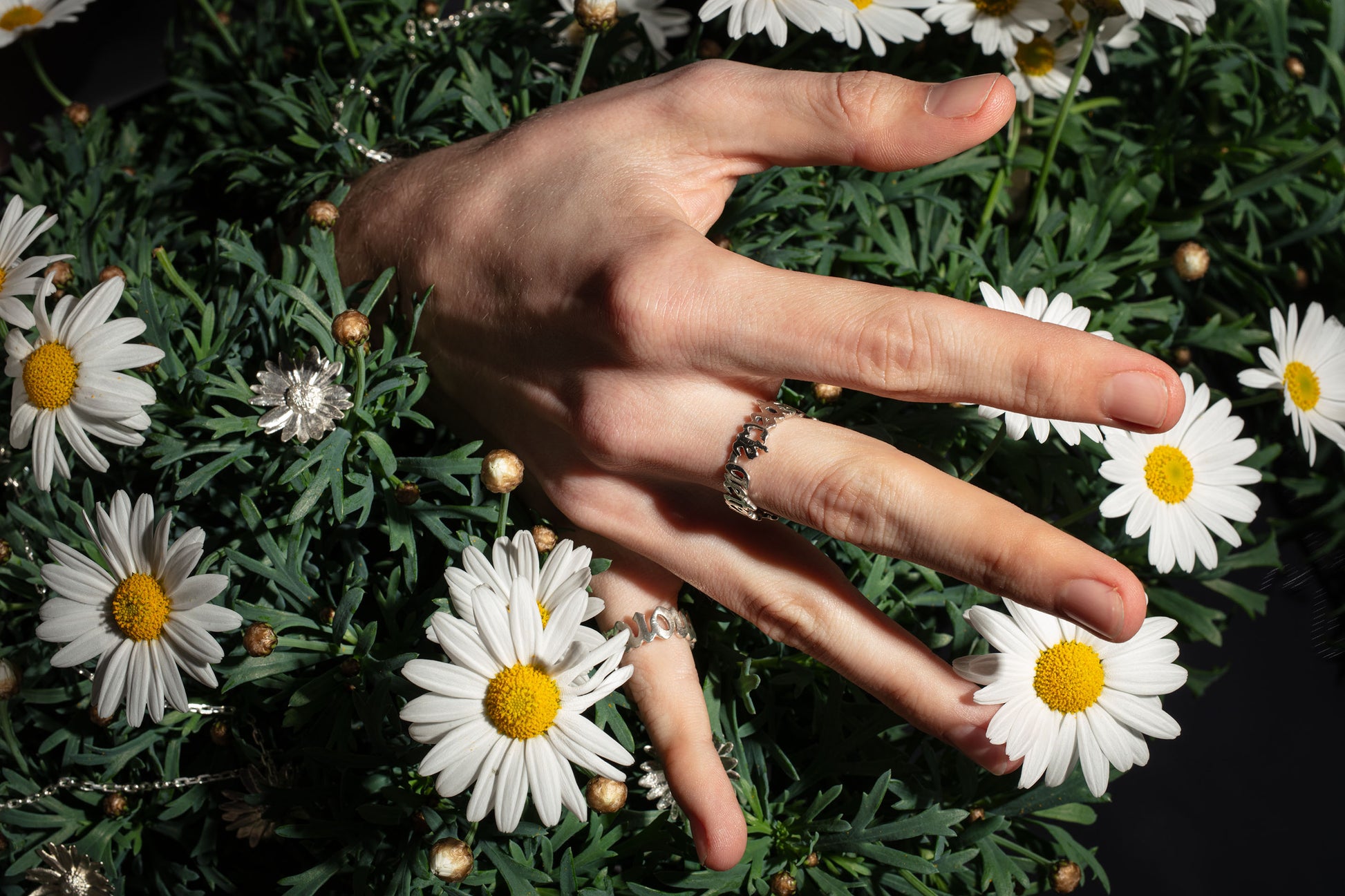 Close-up of a hand adorned with two sterling 925 silver rings, one engraved with 'sub specie aeternitatis' and the other with 'less is more,' placed among white daisy flowers. A sterling silver daisy pendant is also visible, set against dark foliage.