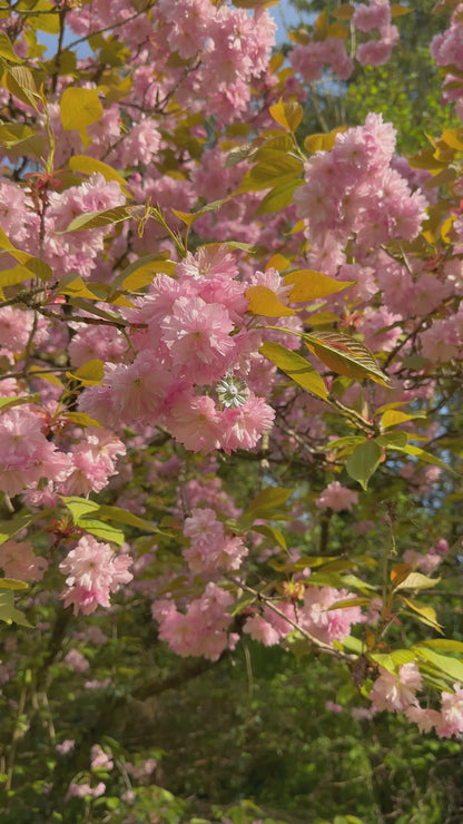Pendentif marguerite
